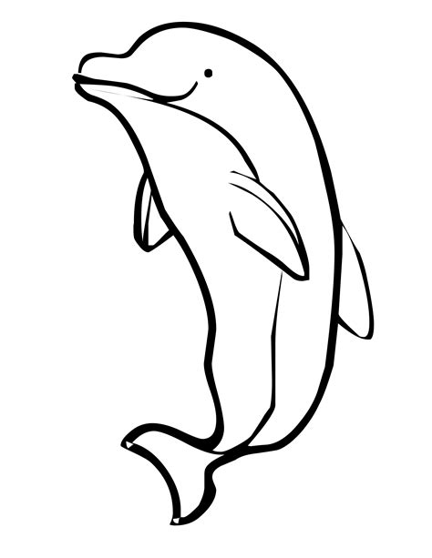 Dolphin Printable Images